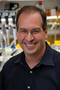 Michael K. Rosen, PhD