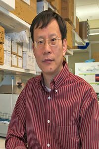 Bin Zhang, PhD
